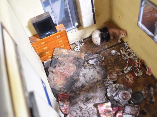 記事サムネイル