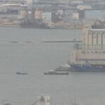 レス1番のリンク先のサムネイル画像