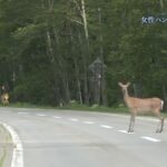 レス1番の画像6