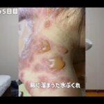 レス1番の画像5