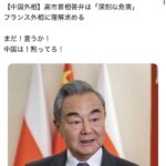 レス14番の画像1