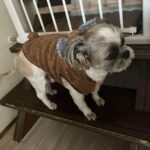 レス32番の画像2