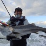 レス134番の画像1