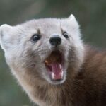 レス1番の画像9