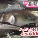 レス1番のリンク先のサムネイル画像