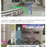 レス2番の画像2