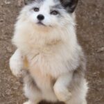 レス1番の画像7