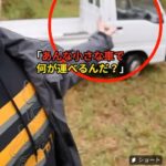 レス39番の画像5