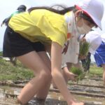 レス3番の画像1