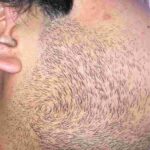 レス17番の画像1