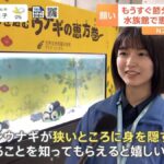 レス2番の画像3