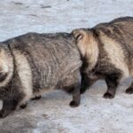 レス1番の画像4