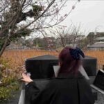 レス165番の画像1