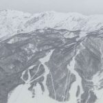 レス2番のリンク先のサムネイル画像