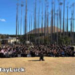 レス4番の画像1