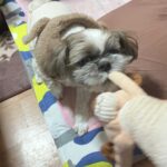 レス35番の画像1