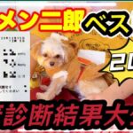 レス3番の画像1