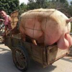 レス17番の画像2