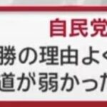 レス185番の画像2