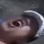 レス12番の画像1