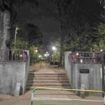 レス31番の画像1