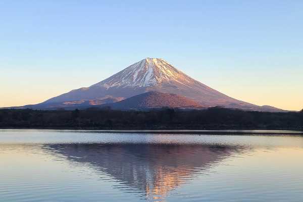 記事サムネイル