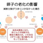 レス53番の画像2