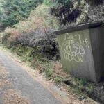 レス41番の画像19