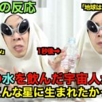 レス23番の画像1