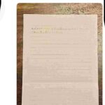 レス5番の画像1