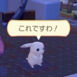 レス39番の画像2