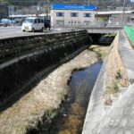 レス1番の画像2