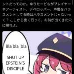 レス13番の画像2