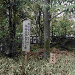 レス41番の画像1