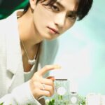 レス6番の画像5