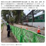 レス3番の画像2