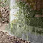 レス41番の画像15