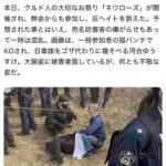 レス46番の画像1