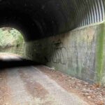 レス41番の画像17