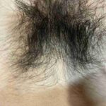 レス31番の画像2