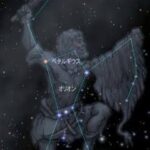 レス136番の画像1