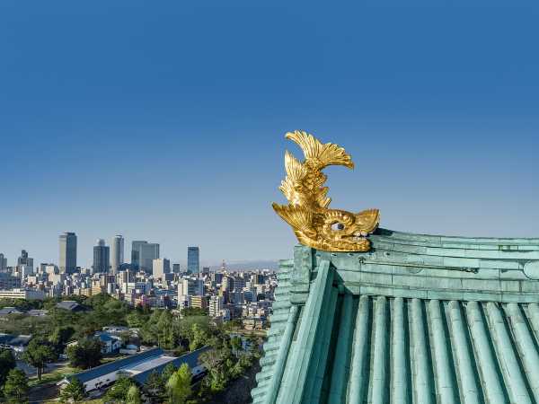 記事サムネイル