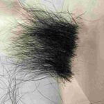 レス31番の画像1