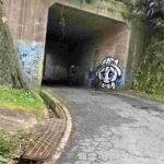 レス41番の画像10