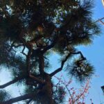 レス41番の画像1