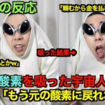 レス23番の画像2