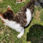 レス13番の画像2