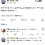 レス2番の画像5