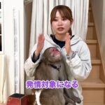 レス1番の画像3