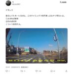 レス2番の画像2